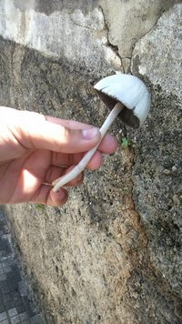 123.jpg