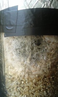 20150306_100632.jpg