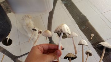 20150309_135951.jpg