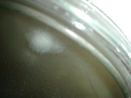 dish_detail.jpg