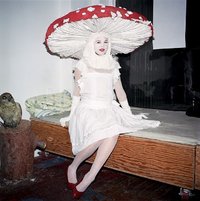 amanita.jpg