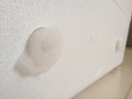 IMG_1324.JPG
