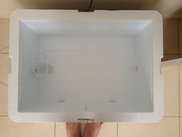 IMG_1333.JPG