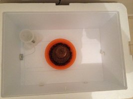 IMG_1342.JPG