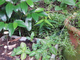 DSCN6856.JPG