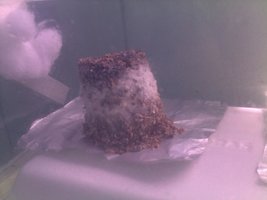 01042015301.jpg