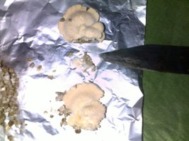01042015303.jpg