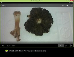 final_bstSnapshot_41190.jpg
