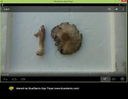 final_bstSnapshot_41681.jpg