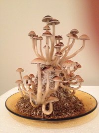 IMG_1379.JPG