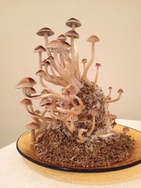IMG_1380.JPG