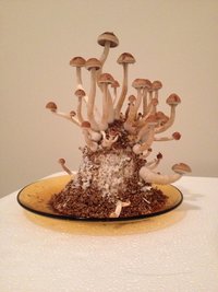 IMG_1382.JPG