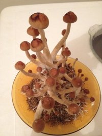 IMG_1384.JPG