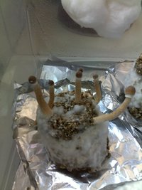 11042015329.jpg