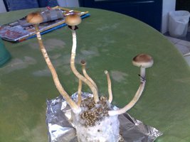 13042015333.jpg