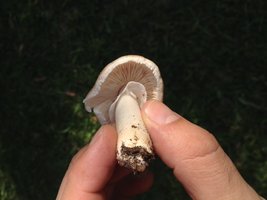 foto 2.JPG