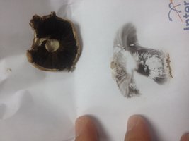 foto 4.JPG