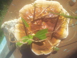 20150415_150842.jpg