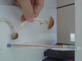 20150420_084548.jpg