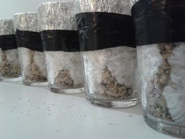 20150326_134335.jpg