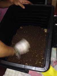 20150425120147.jpg