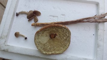20150425_164620.jpg