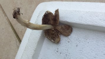 20150425_164641.jpg