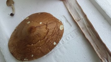 20150425_164656.jpg