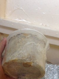 Galindoi.JPG