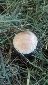 IMG_20150428_110139719.jpg