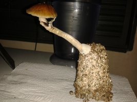 20150421_123959.jpg