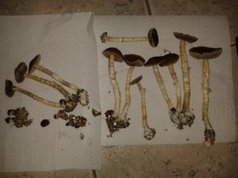20150429_052033.jpg