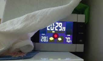 100_3050.JPG