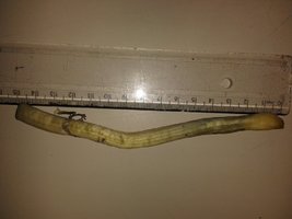 20150507_174734.jpg