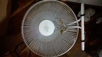 WP_20150511_003.jpg
