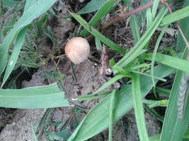 20150511_145805.jpg