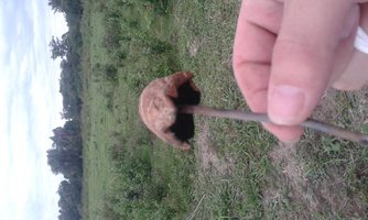 IMG-20150511-WA0020.jpeg