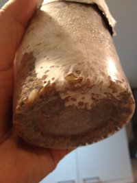 foto 4.JPG