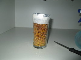Milho pote 1.JPG