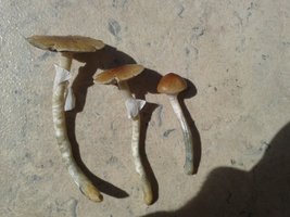 20150512_130944.jpg