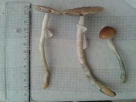 20150512_131111.jpg