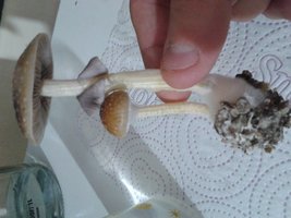 20150516_084158.jpg