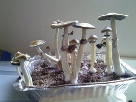 CAM00140.jpg