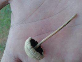 20150519_165137.jpg