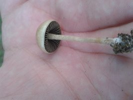 20150519_170009.jpg