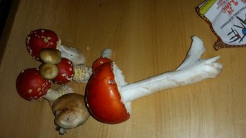 20150516_200759.jpg