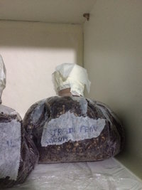 Mini Bag Peru.JPG