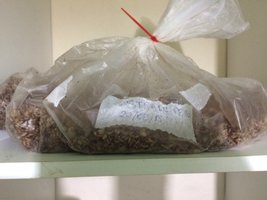 Bag Gigante Peru.JPG