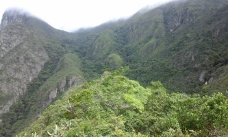 20150524_133336.jpg