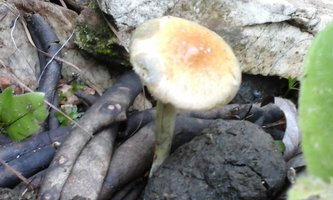 20150524_145815.jpg